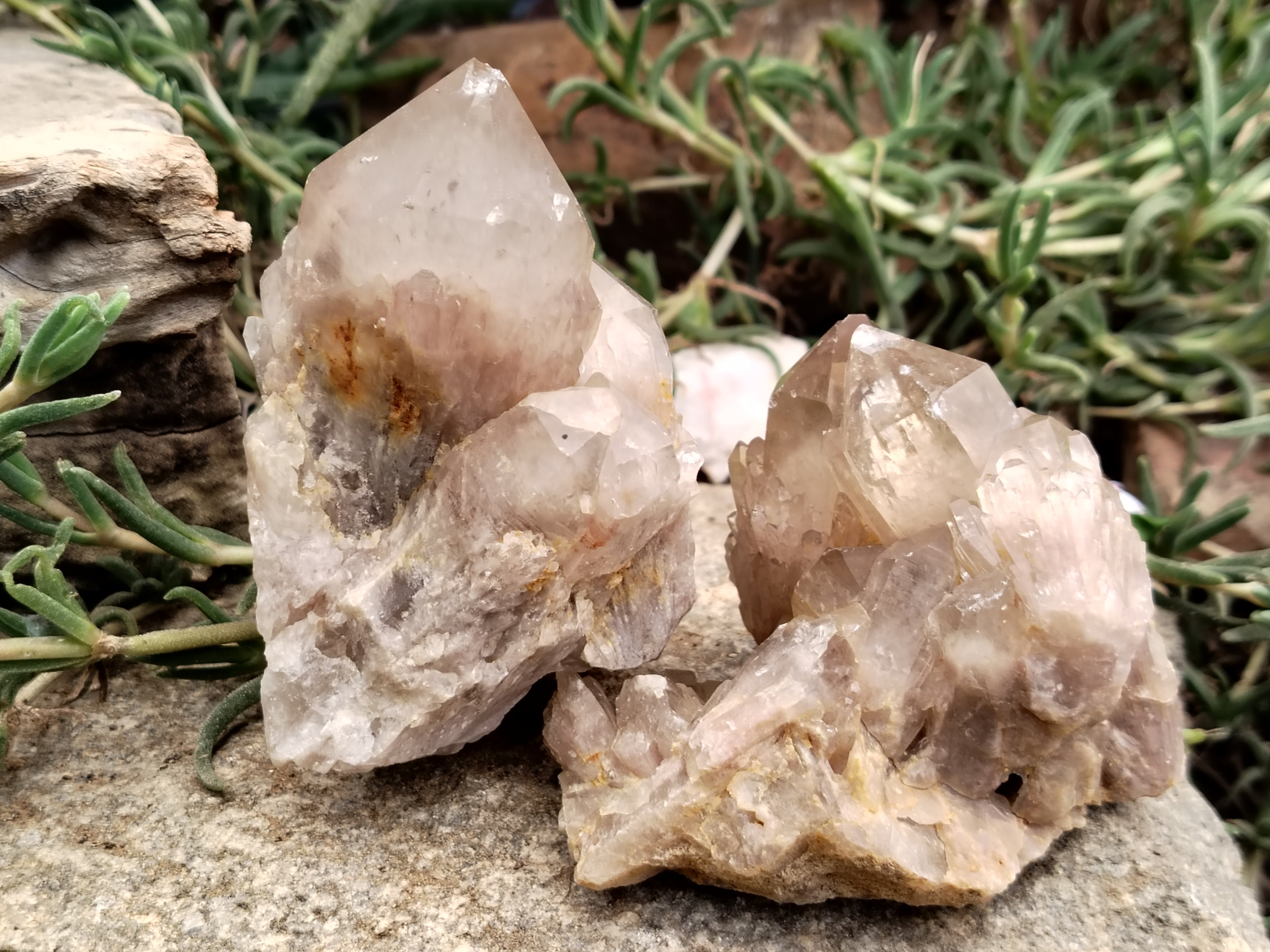 Natural Smokey Phantom Quartz Clusters x 6 From Luena, Congo - Toprock Gemstones and Minerals 