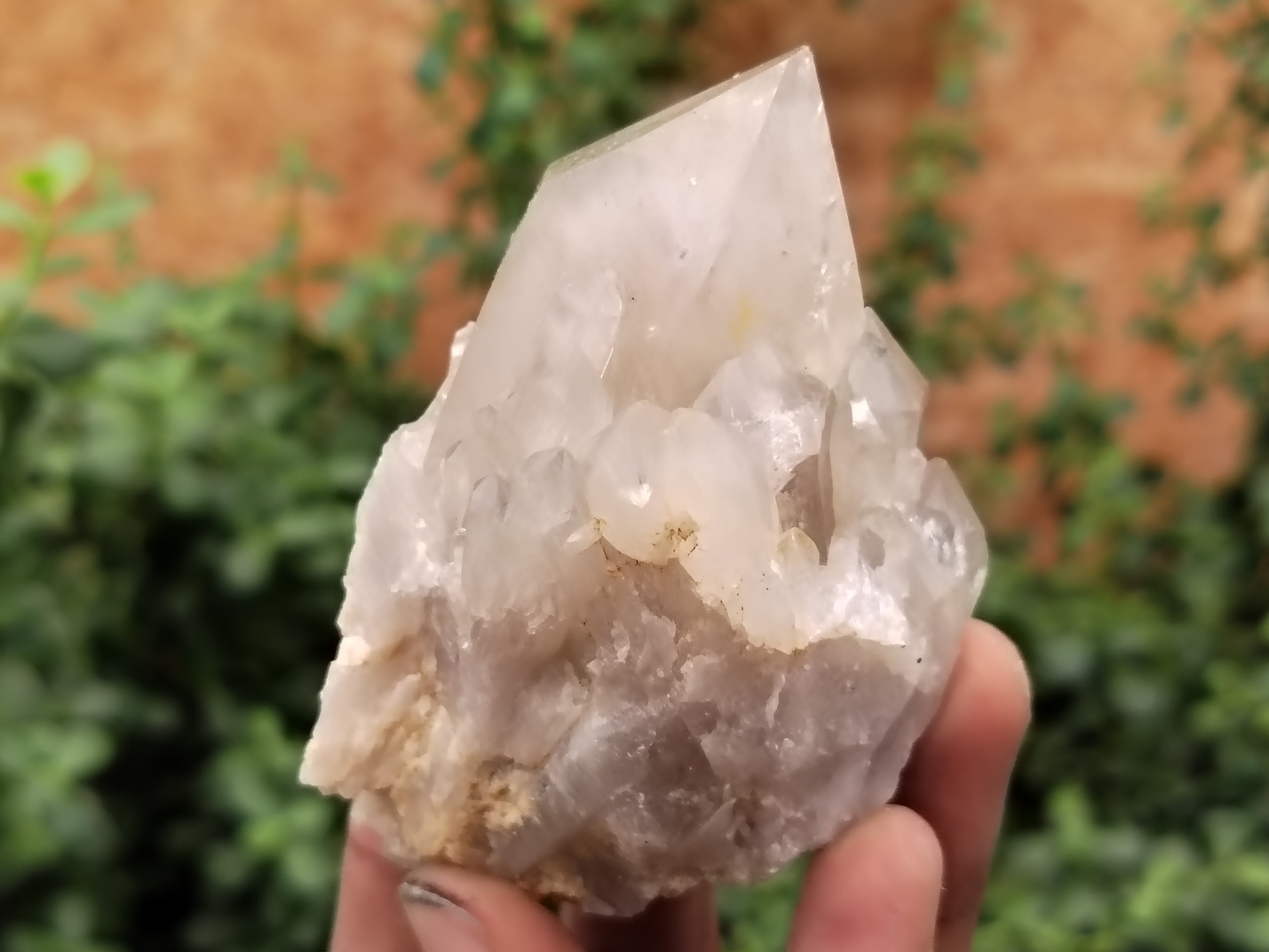 Natural Smokey Phantom Quartz Clusters x 6 From Luena, Congo - Toprock Gemstones and Minerals 