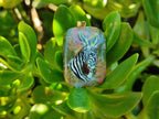 Polished Unakite Pendant with Hand Painted Zebra - Sold Per Item - From South Africa - Toprock Gemstones and Minerals 