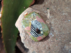 Polished Unakite Pendant with Hand Painted Zebra - Sold Per Item - From South Africa - Toprock Gemstones and Minerals 