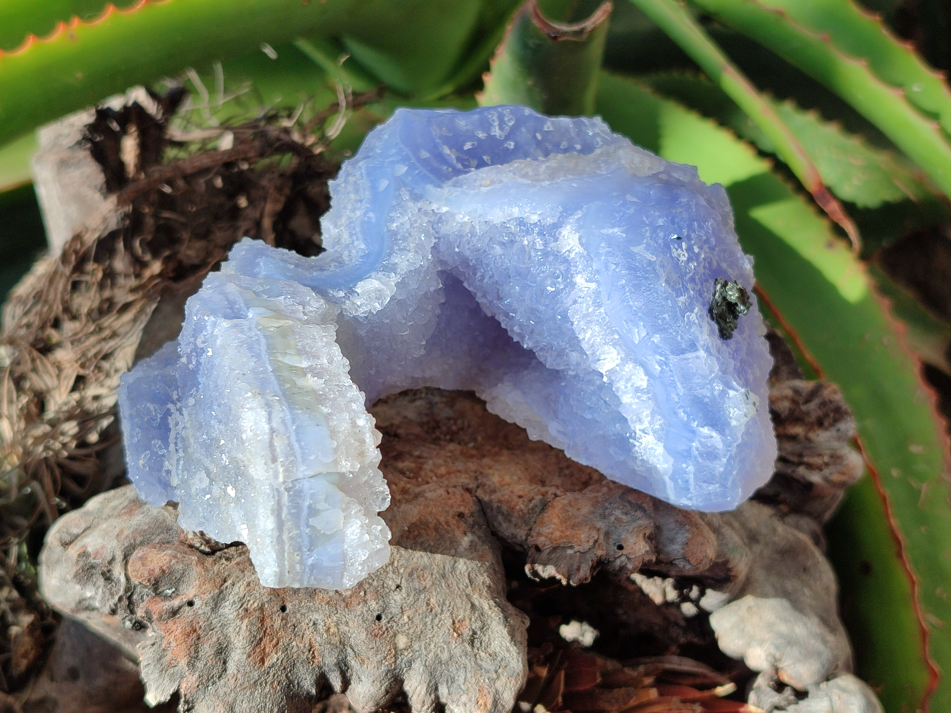 Natural Etched Blue Chalcedony Specimens x 2 From Nsanje, Malawi - Toprock Gemstones and Minerals 