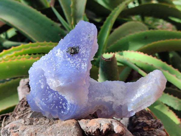 Natural Etched Blue Chalcedony Specimens x 2 From Nsanje, Malawi - Toprock Gemstones and Minerals 