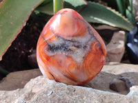 Polished Carnelian Standing Free Forms x 6 From Madagascar - Toprock Gemstones and Minerals 