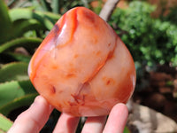 Polished Carnelian Standing Free Forms x 6 From Madagascar - Toprock Gemstones and Minerals 