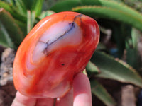 Polished Carnelian Standing Free Forms x 6 From Madagascar - Toprock Gemstones and Minerals 