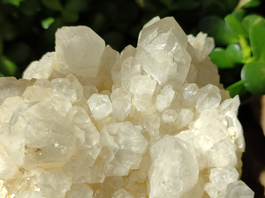 Natural Quartz Clusters x 2 From Madagascar - Toprock Gemstones and Minerals 