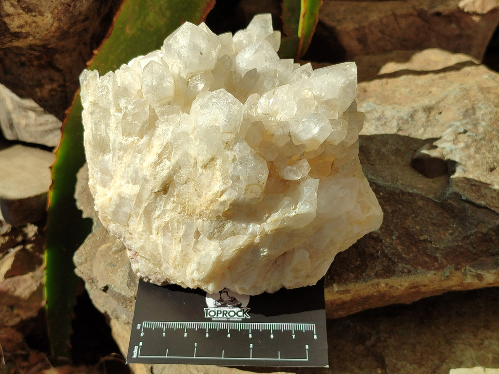 Natural Quartz Clusters x 2 From Madagascar - Toprock Gemstones and Minerals 
