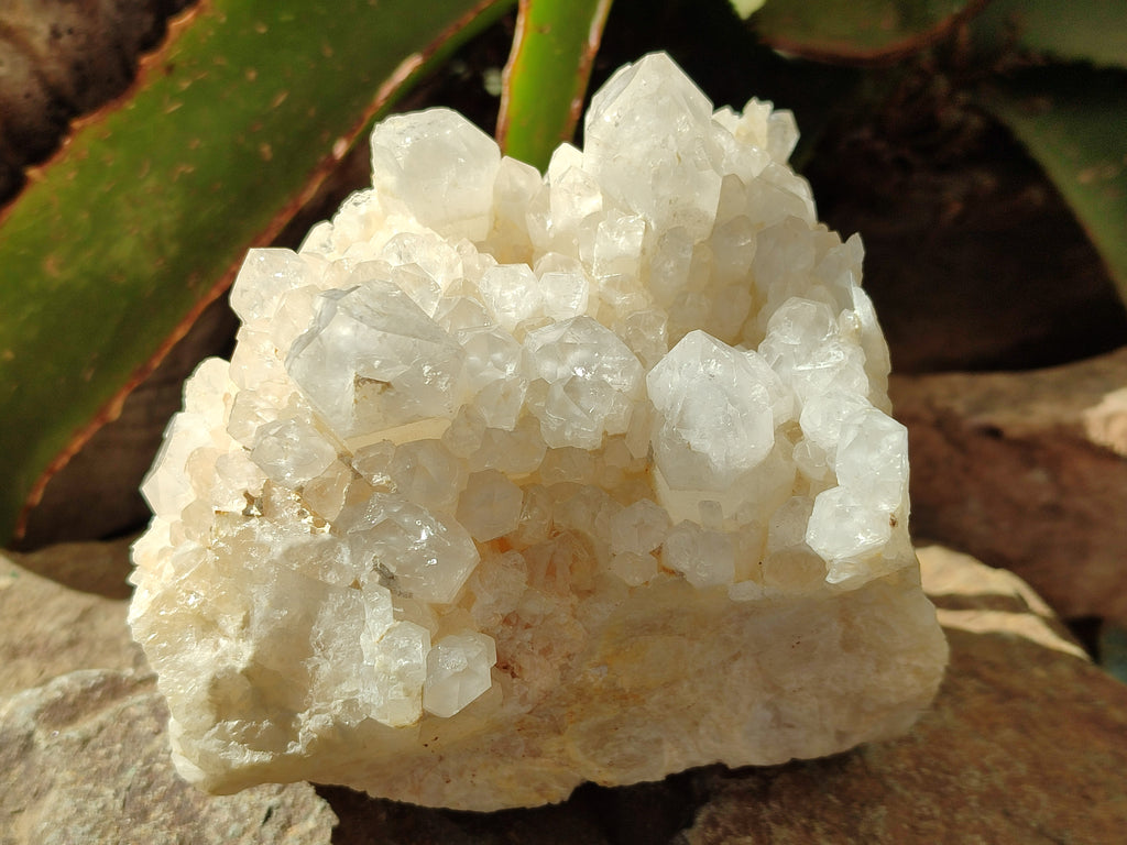 Natural Quartz Clusters x 2 From Madagascar - Toprock Gemstones and Minerals 