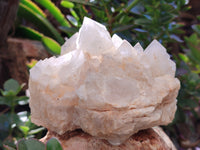 Natural Quartz Clusters x 2 From Madagascar - Toprock Gemstones and Minerals 