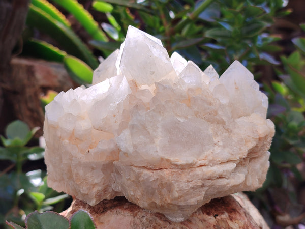 Natural Quartz Clusters x 2 From Madagascar - Toprock Gemstones and Minerals 