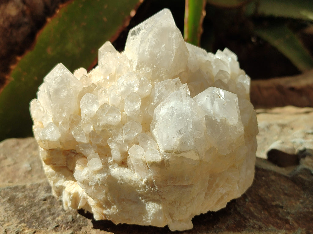Natural Quartz Clusters x 2 From Madagascar - Toprock Gemstones and Minerals 