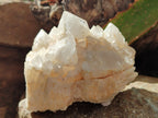 Natural Quartz Clusters x 2 From Madagascar - Toprock Gemstones and Minerals 