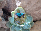 Polished Unakite Pendant with Hand Painted Butterfly - Sold Per Item - From South Africa - Toprock Gemstones and Minerals 