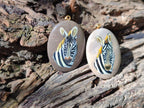 Polished Polychrome Jasper Pendant with Hand Painted Zebra - Sold Per Item - From Madagascar - Toprock Gemstones and Minerals 