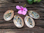 Polished Polychrome Jasper Pendant with Hand Painted Zebra - Sold Per Item - From Madagascar - Toprock Gemstones and Minerals 