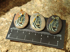 Polished Polychrome Jasper Pendant with Hand Painted Zebra - Sold Per Item - From Madagascar - Toprock Gemstones and Minerals 