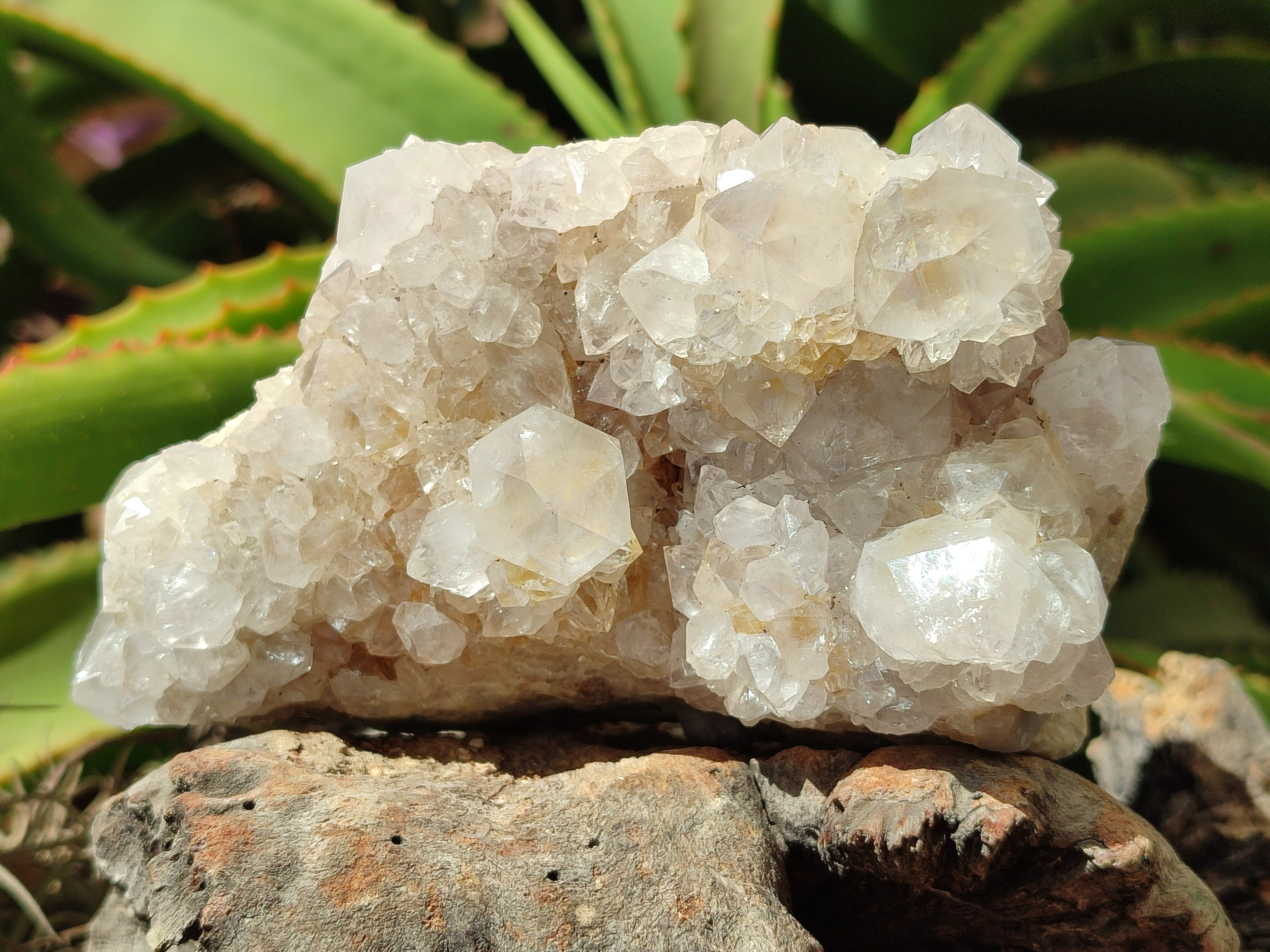 Natural Spirit Quartz Clusters x 3 From Boekenhouthoek, South Africa - Toprock Gemstones and Minerals 