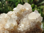 Natural Spirit Quartz Clusters x 3 From Boekenhouthoek, South Africa - Toprock Gemstones and Minerals 