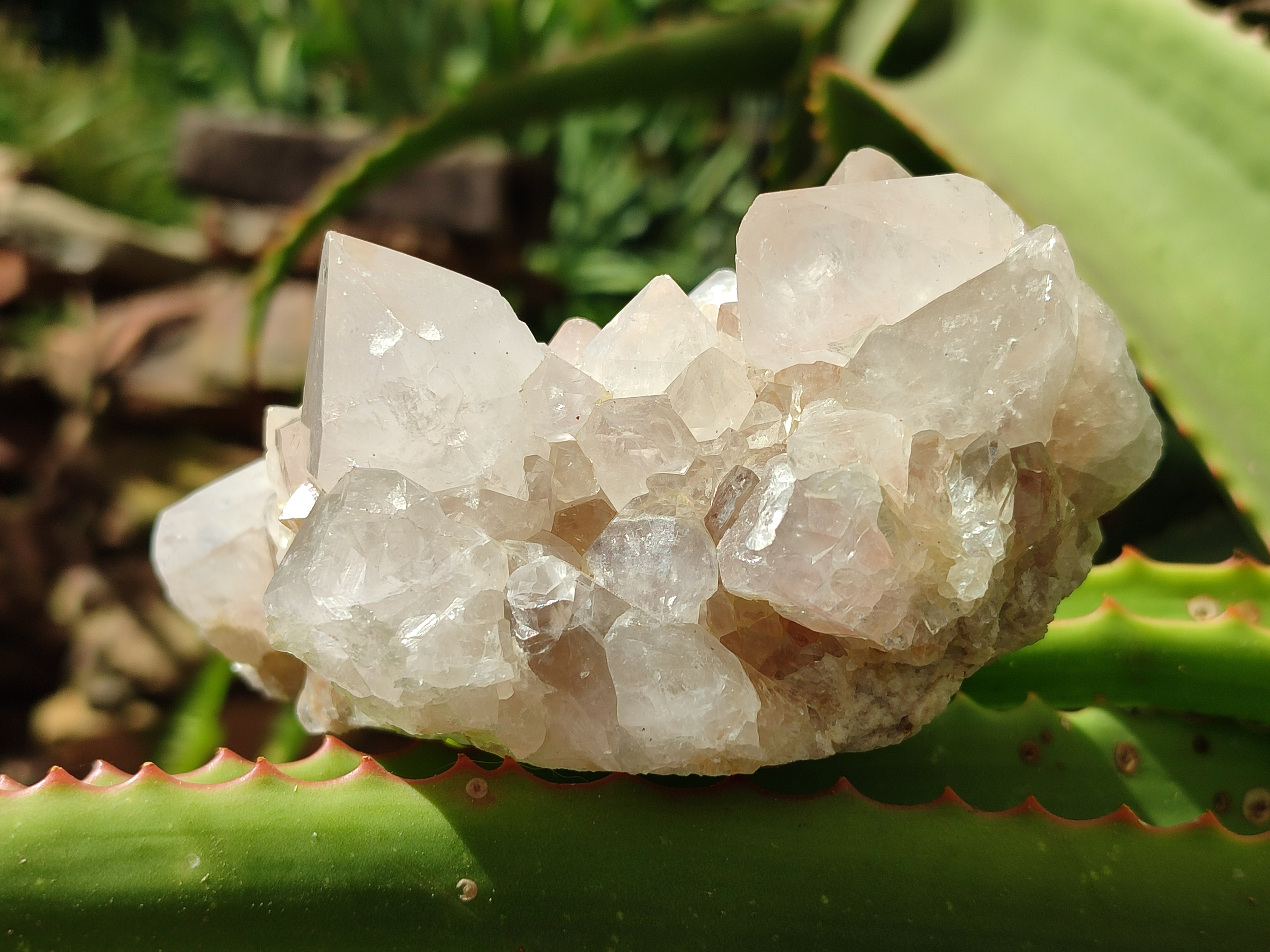 Natural Spirit Quartz Clusters x 3 From Boekenhouthoek, South Africa - Toprock Gemstones and Minerals 