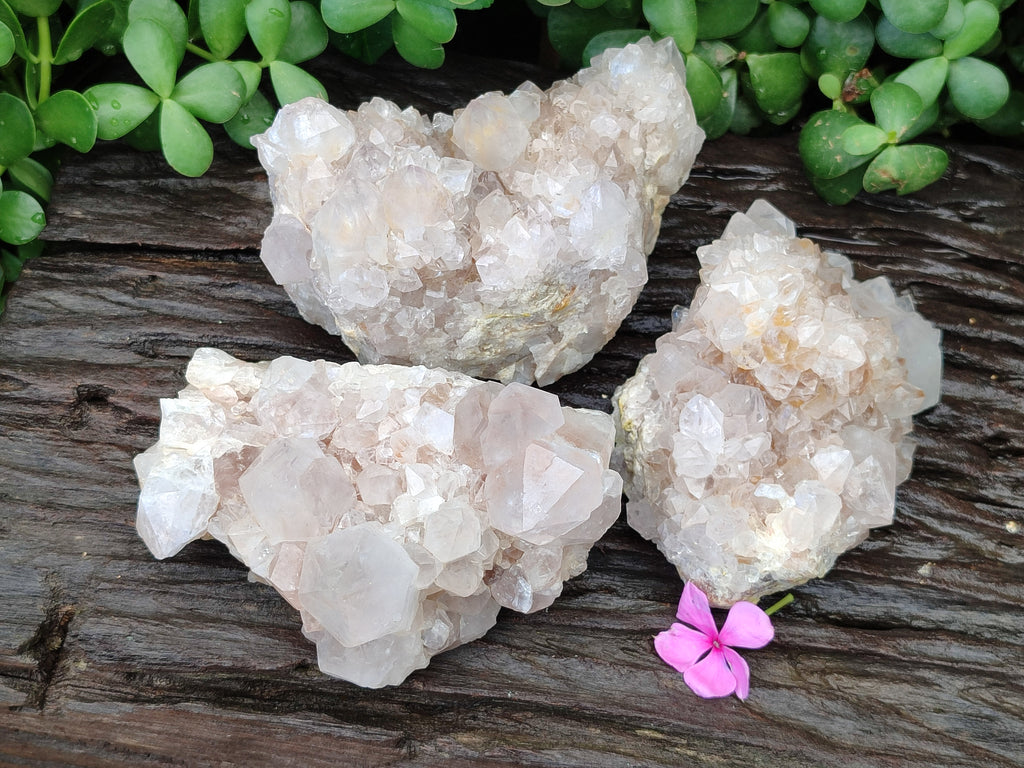 Natural Spirit Quartz Clusters x 3 From Boekenhouthoek, South Africa - Toprock Gemstones and Minerals 