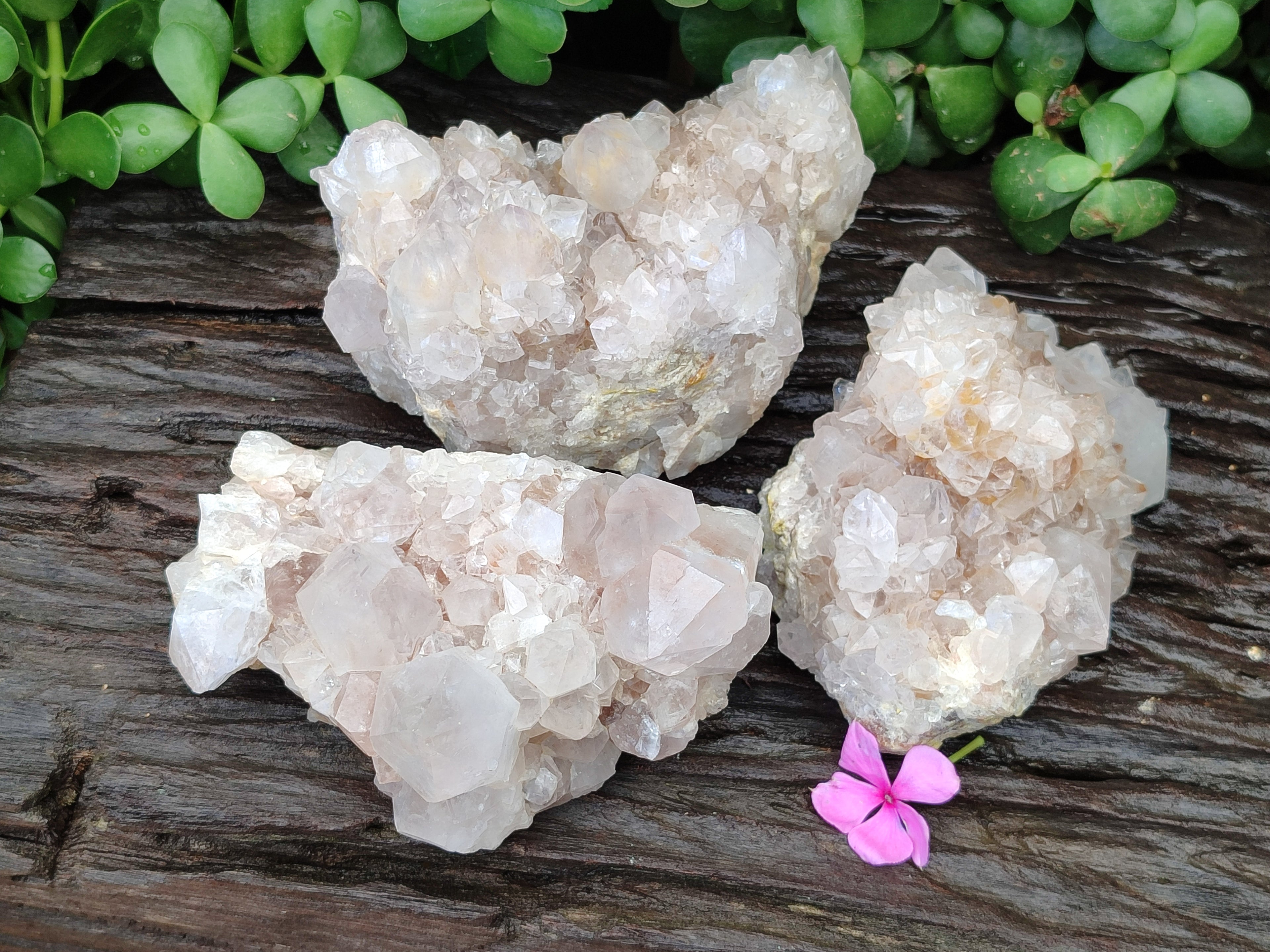 Natural Spirit Quartz Clusters x 3 From Boekenhouthoek, South Africa - Toprock Gemstones and Minerals 