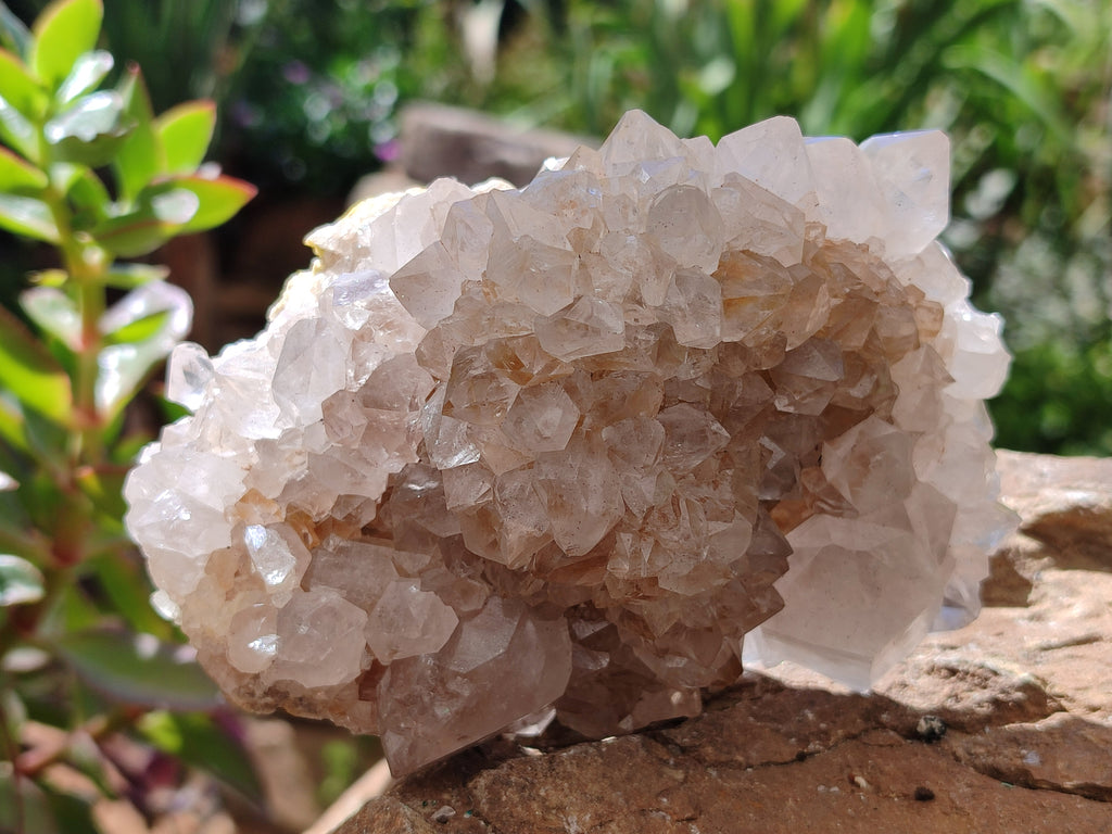 Natural Spirit Quartz Clusters x 3 From Boekenhouthoek, South Africa - Toprock Gemstones and Minerals 