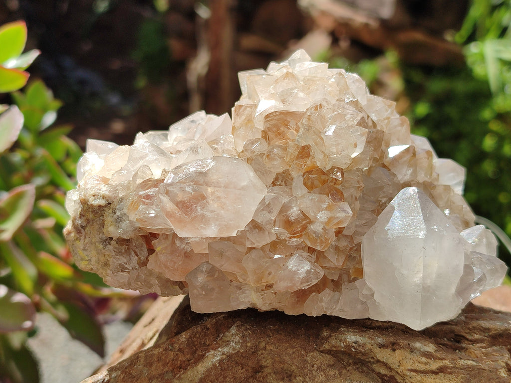 Natural Spirit Quartz Clusters x 3 From Boekenhouthoek, South Africa - Toprock Gemstones and Minerals 