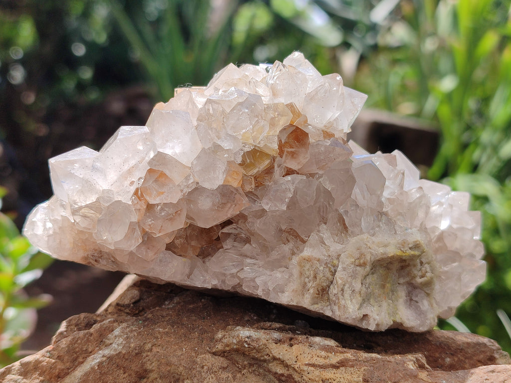 Natural Spirit Quartz Clusters x 3 From Boekenhouthoek, South Africa - Toprock Gemstones and Minerals 