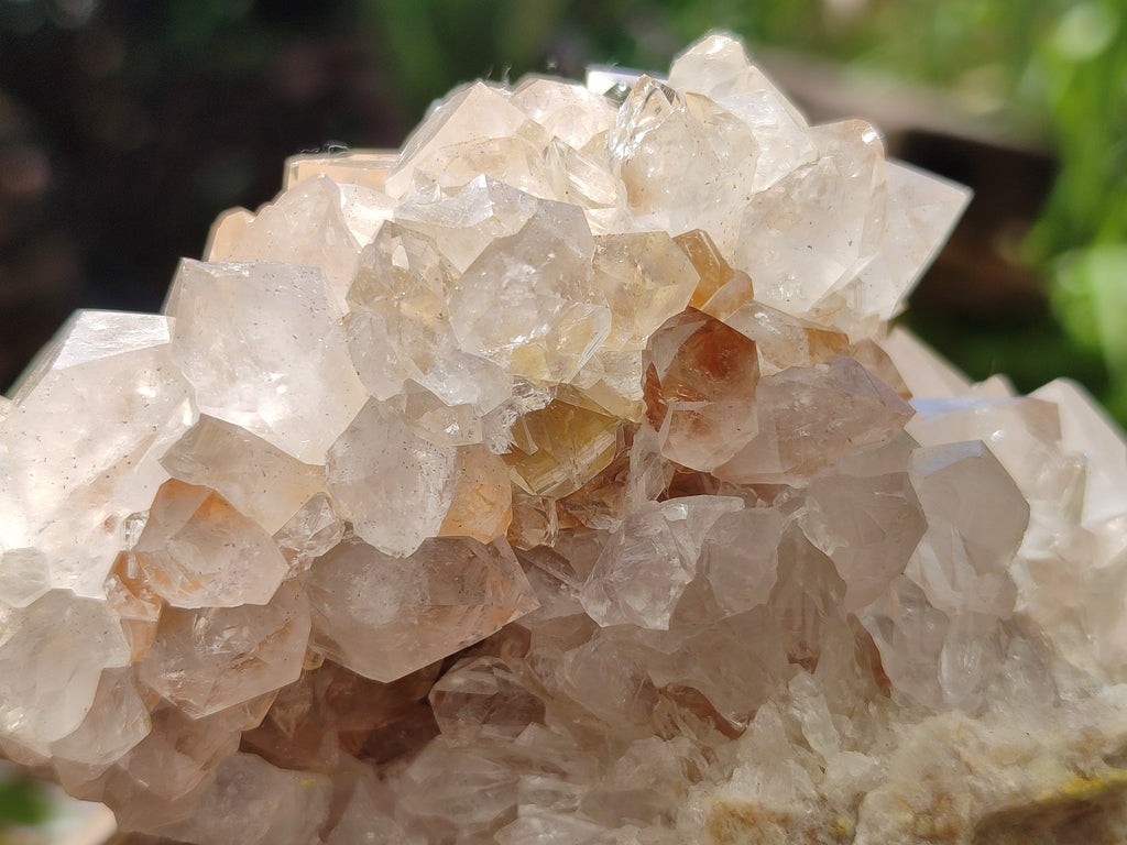 Natural Spirit Quartz Clusters x 3 From Boekenhouthoek, South Africa - Toprock Gemstones and Minerals 