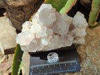 Natural Spirit Quartz Clusters x 3 From Boekenhouthoek, South Africa - Toprock Gemstones and Minerals 