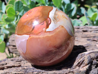 Polished Polychrome Jasper Spheres x 2 From Mahajanga, Madagascar - Toprock Gemstones and Minerals 
