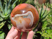 Polished Polychrome Jasper Spheres x 2 From Mahajanga, Madagascar - Toprock Gemstones and Minerals 