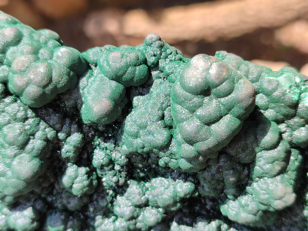 Natural Botryoidal Malachite on Smokey Quartz Plate x 1 From Tenke Fungurume, Congo - Toprock Gemstones and Minerals 