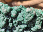 Natural Botryoidal Malachite on Smokey Quartz Plate x 1 From Tenke Fungurume, Congo - Toprock Gemstones and Minerals 