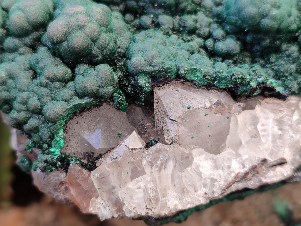 Natural Botryoidal Malachite on Smokey Quartz Plate x 1 From Tenke Fungurume, Congo - Toprock Gemstones and Minerals 