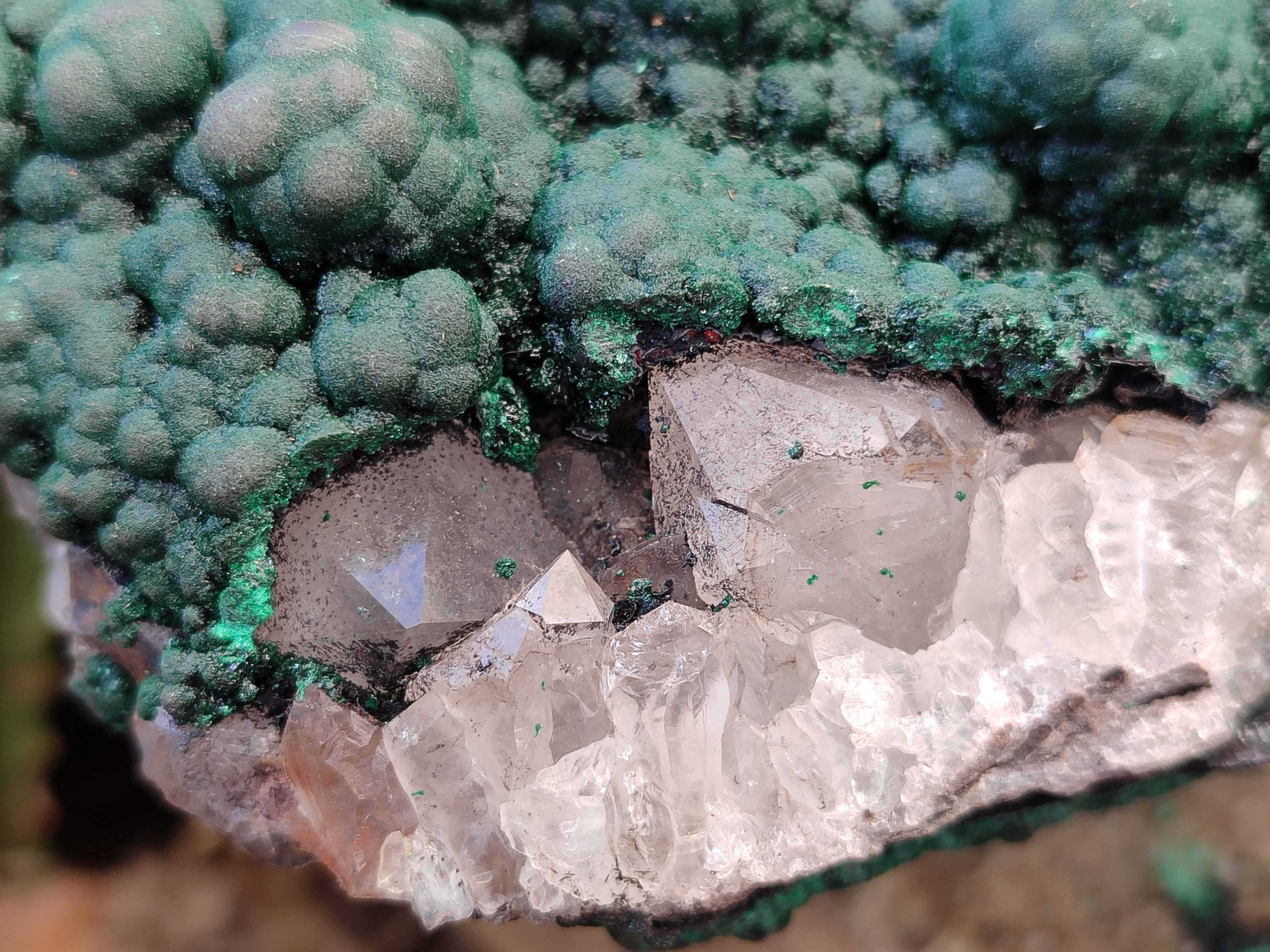 Natural Botryoidal Malachite on Smokey Quartz Plate x 1 From Tenke Fungurume, Congo - Toprock Gemstones and Minerals 