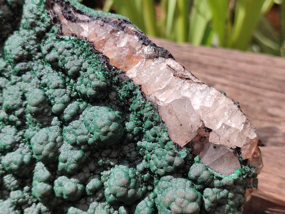 Natural Botryoidal Malachite on Smokey Quartz Plate x 1 From Tenke Fungurume, Congo - Toprock Gemstones and Minerals 