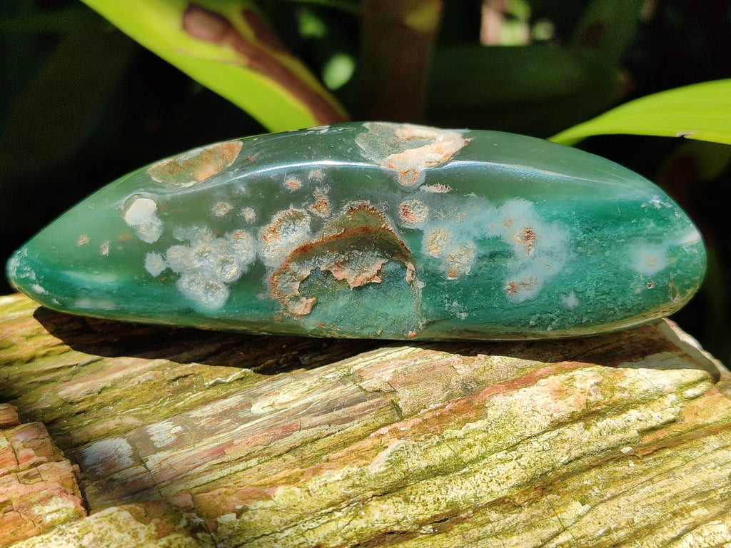 Polished Emerald Mtorolite Free Forms x 6 From Mutorashanga, Zimbabwe - Toprock Gemstones and Minerals 