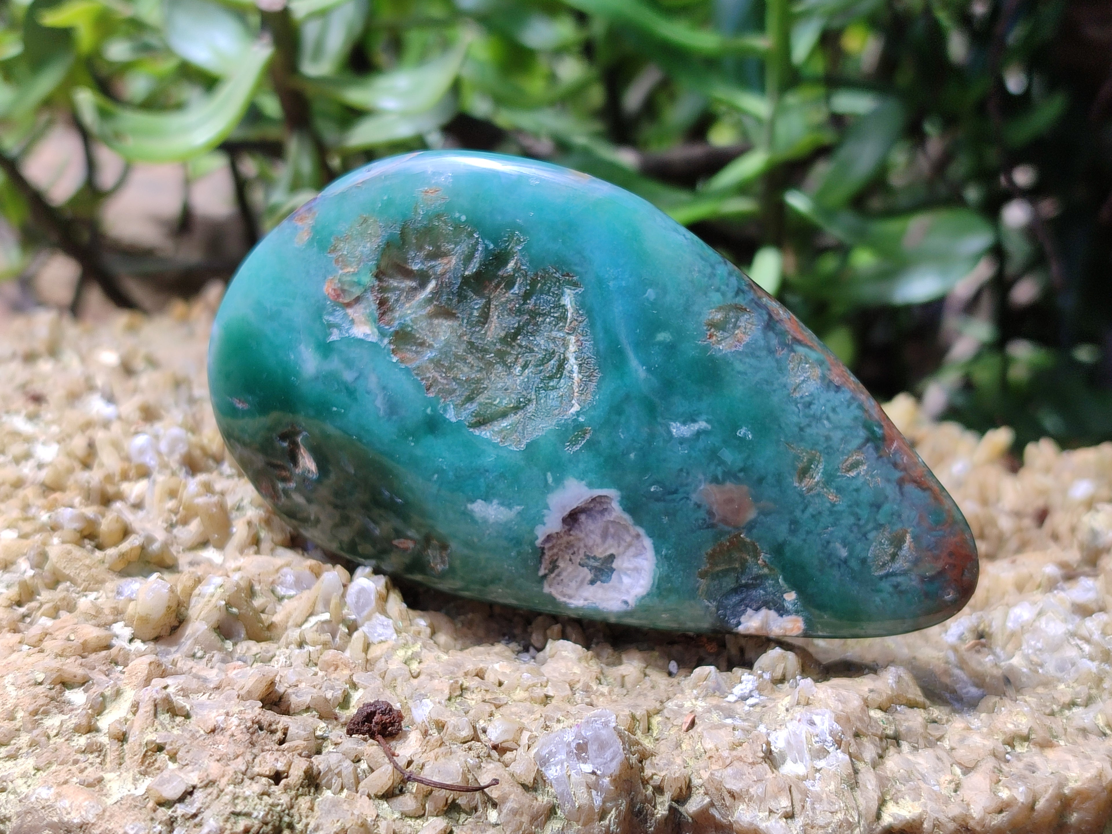 Polished Emerald Mtorolite Free Forms x 6 From Mutorashanga, Zimbabwe - Toprock Gemstones and Minerals 
