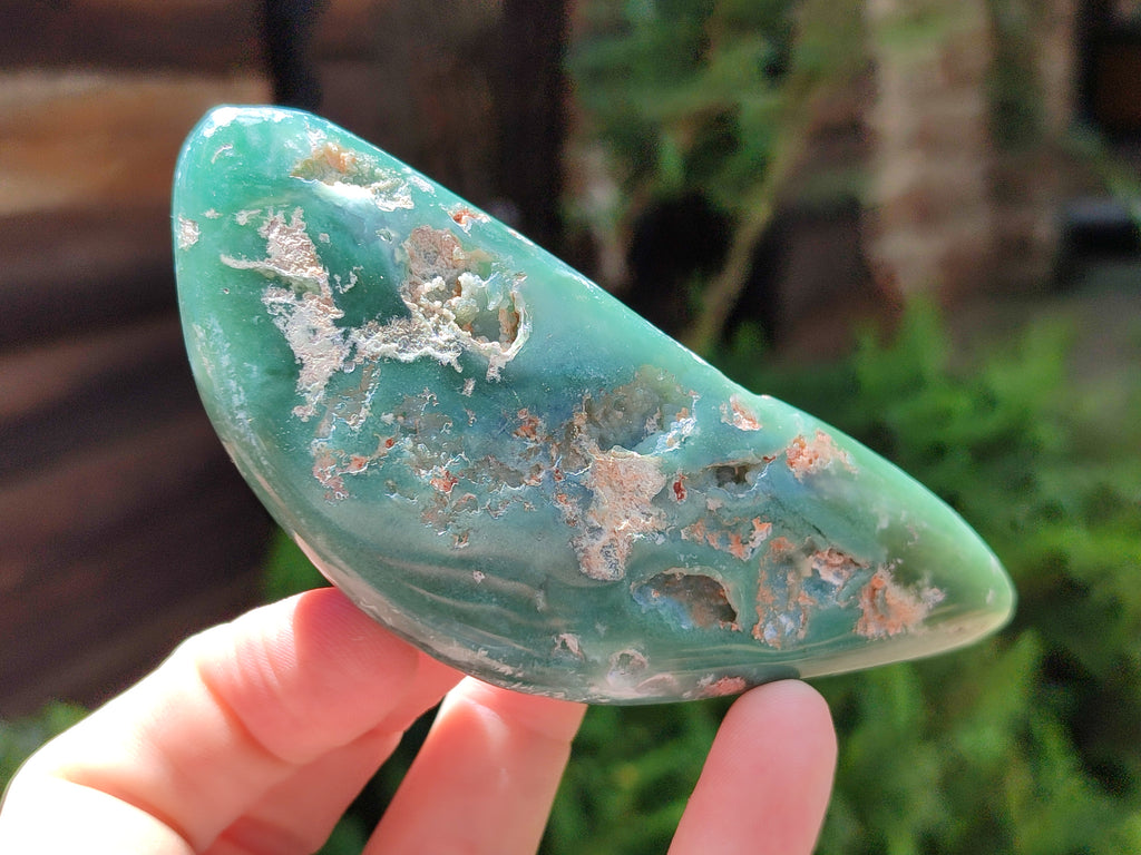 Polished Emerald Mtorolite Free Forms x 6 From Mutorashanga, Zimbabwe - Toprock Gemstones and Minerals 