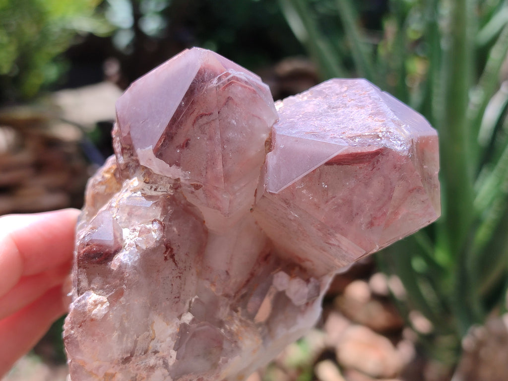 Natural Red Hematoid Quartz Clusters x 2 From Karoi, Zimbabwe - Toprock Gemstones and Minerals 