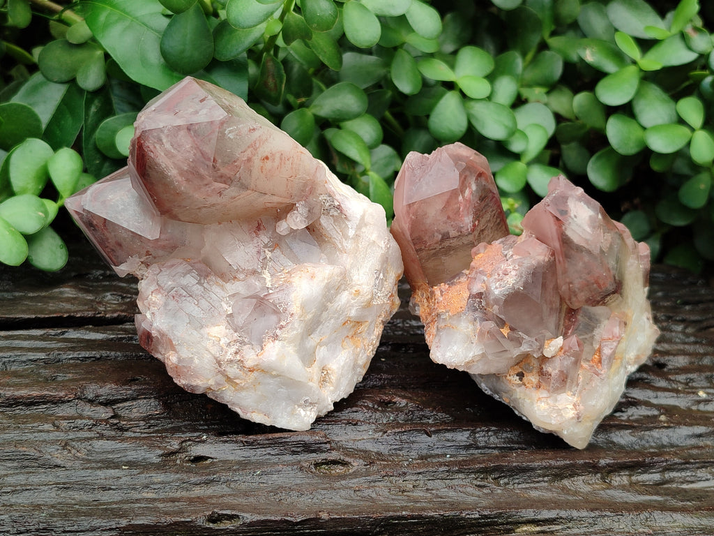 Natural Red Hematoid Quartz Clusters x 2 From Karoi, Zimbabwe - Toprock Gemstones and Minerals 