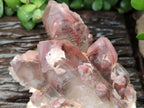 Natural Red Hematoid Quartz Clusters x 2 From Karoi, Zimbabwe - Toprock Gemstones and Minerals 
