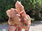 Natural Red Hematoid Quartz Clusters x 2 From Karoi, Zimbabwe - Toprock Gemstones and Minerals 