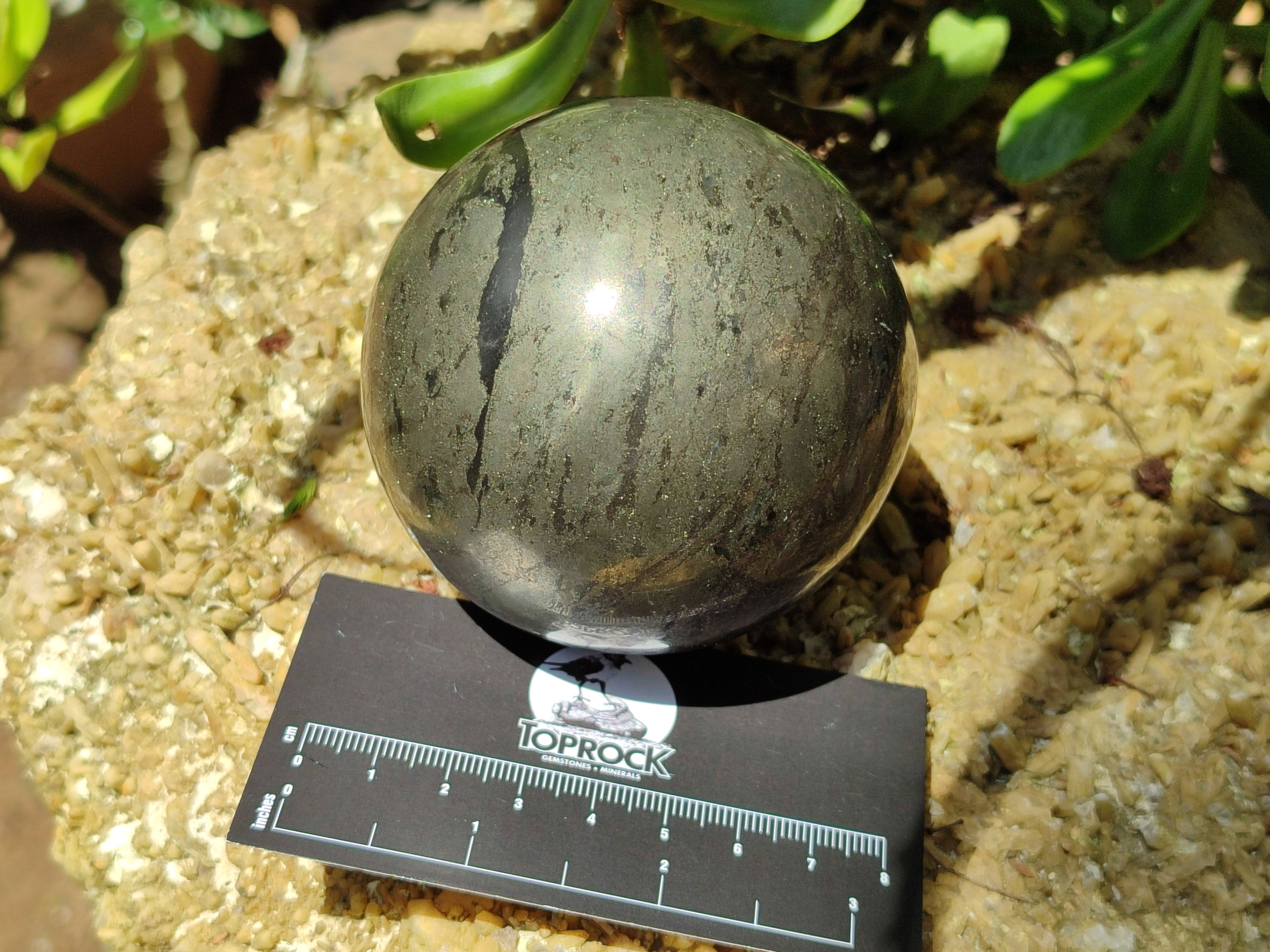 Polished Rare Pharaoh Stone Pyrite in Basalt Sphere-Balls x 3 From Iron Duke Mine, Zimbabwe - Toprock Gemstones and Minerals 
