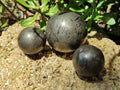 Polished Rare Pharaoh Stone Pyrite in Basalt Sphere-Balls x 3 From Iron Duke Mine, Zimbabwe - Toprock Gemstones and Minerals 