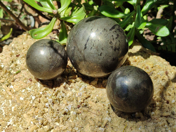 Polished Rare Pharaoh Stone Pyrite in Basalt Sphere-Balls x 3 From Iron Duke Mine, Zimbabwe - Toprock Gemstones and Minerals 