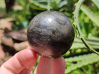 Polished Rare Pharaoh Stone Pyrite in Basalt Sphere-Balls x 3 From Iron Duke Mine, Zimbabwe - Toprock Gemstones and Minerals 