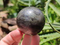 Polished Rare Pharaoh Stone Pyrite in Basalt Sphere-Balls x 3 From Iron Duke Mine, Zimbabwe - Toprock Gemstones and Minerals 