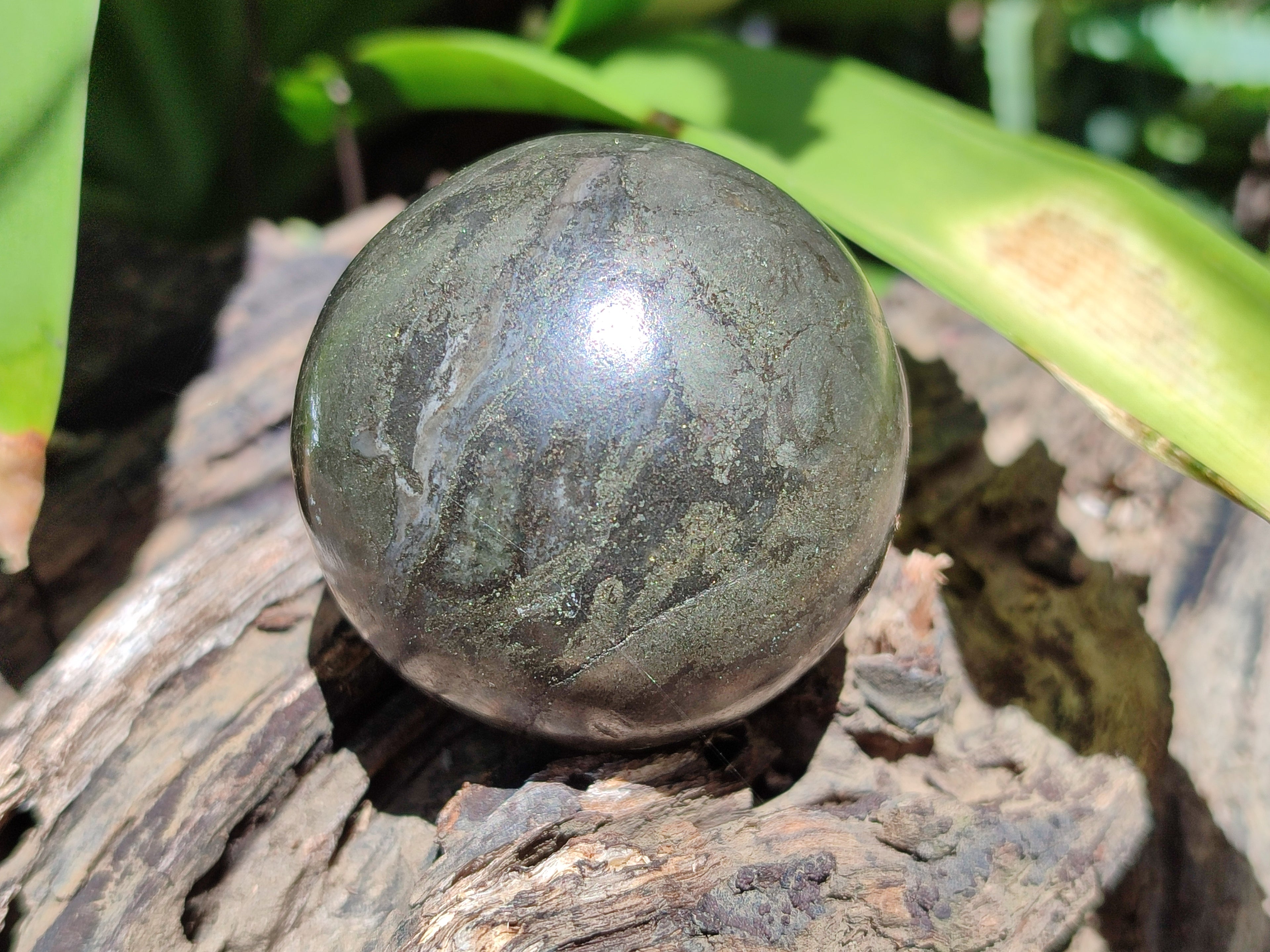Polished Rare Pharaoh Stone Pyrite in Basalt Sphere-Balls x 3 From Iron Duke Mine, Zimbabwe - Toprock Gemstones and Minerals 